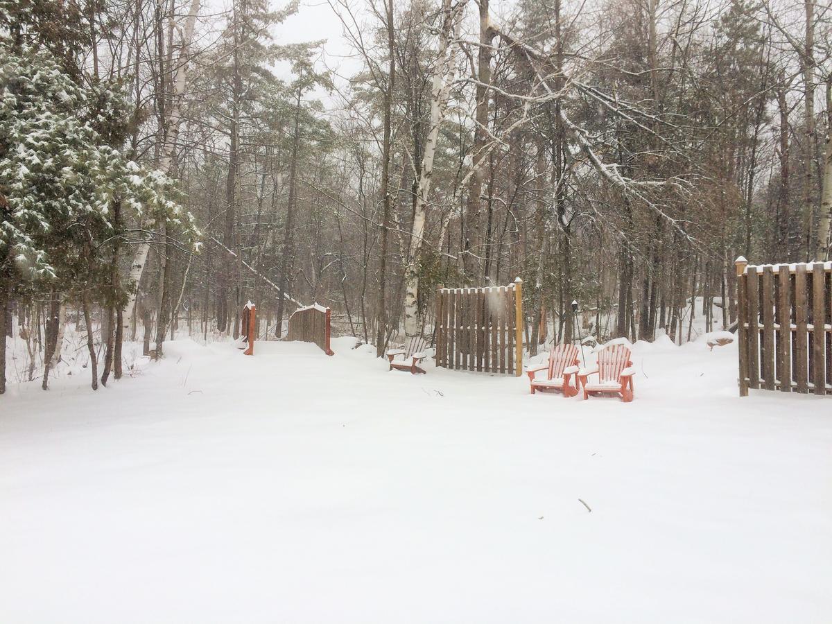 Adirondack Spruce Lodge Вілмінгтон Екстер'єр фото