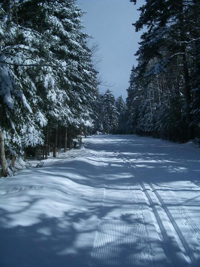 Adirondack Spruce Lodge Вілмінгтон Екстер'єр фото